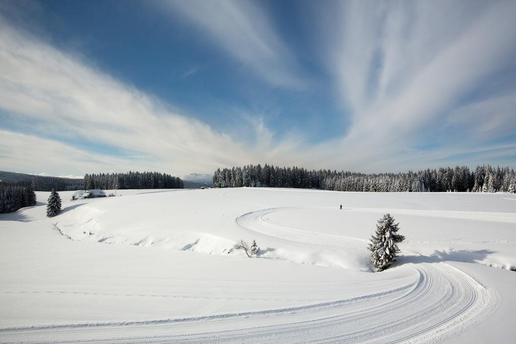 Gasthaus Zum Hirschen Фуртванген Екстериор снимка